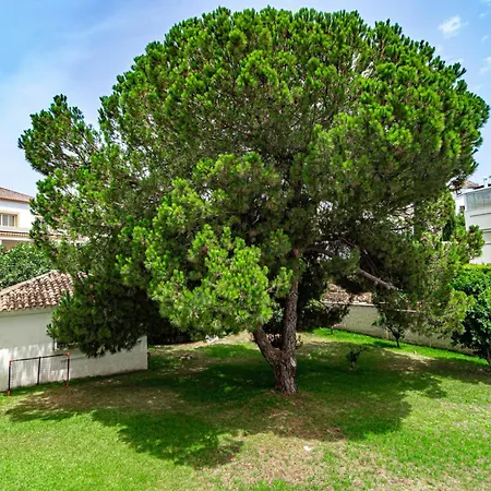 Σπίτι διακοπών Alegre - Rustic Private Pool
